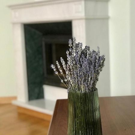 Family Apartment Near The University Chernivtsi Εξωτερικό φωτογραφία